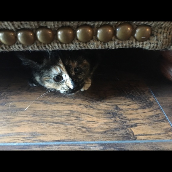 P L E A S E R E A D - Picture 2 of 10